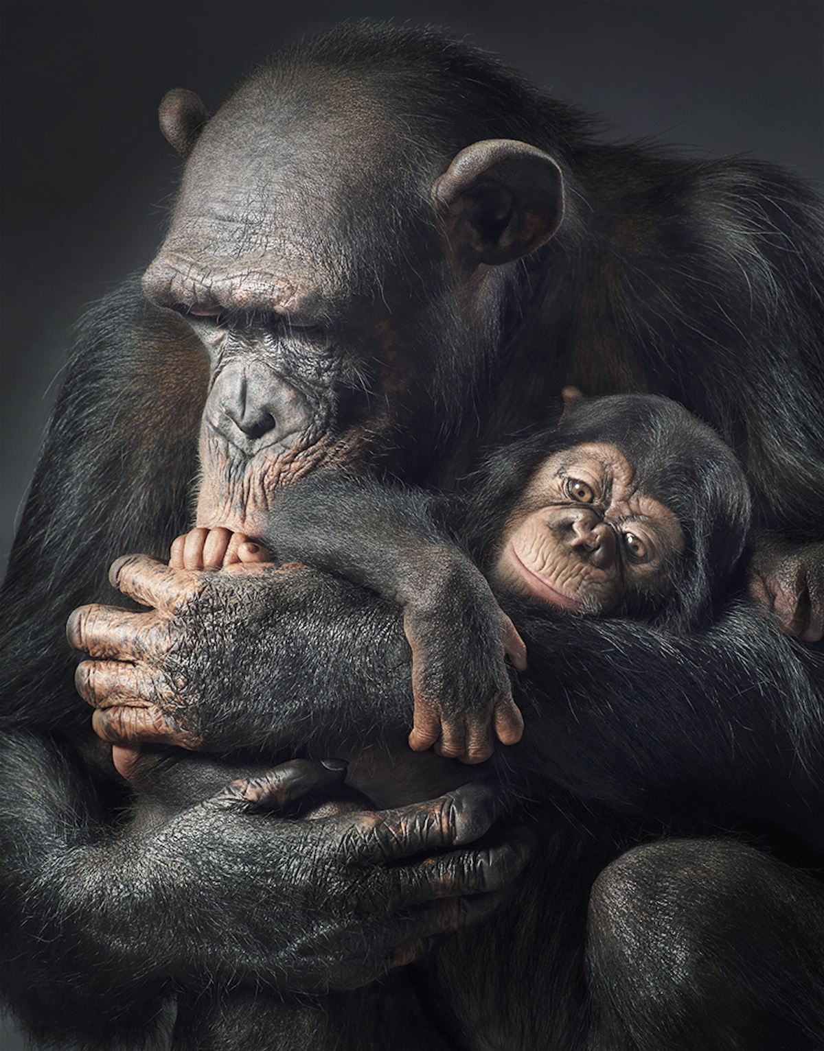Most Endangered Animals by Tim Flach