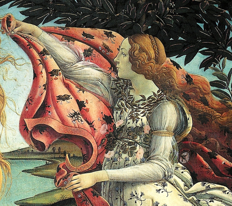 Botticelli Birth of Venus Showcases Best of Italian Renaissance