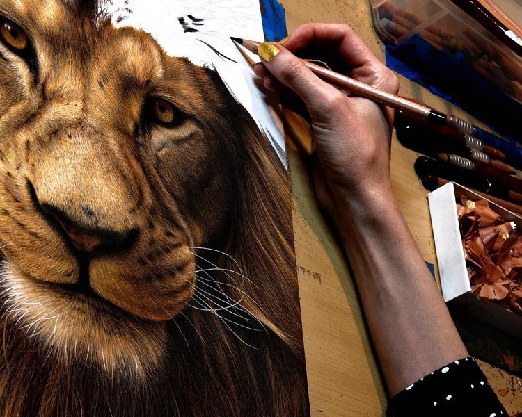 Get Inspired to Try Colored Pencils With Realistic Color Pencil Art