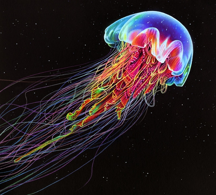 Ilustración de una medusa hecha con lápices de colores