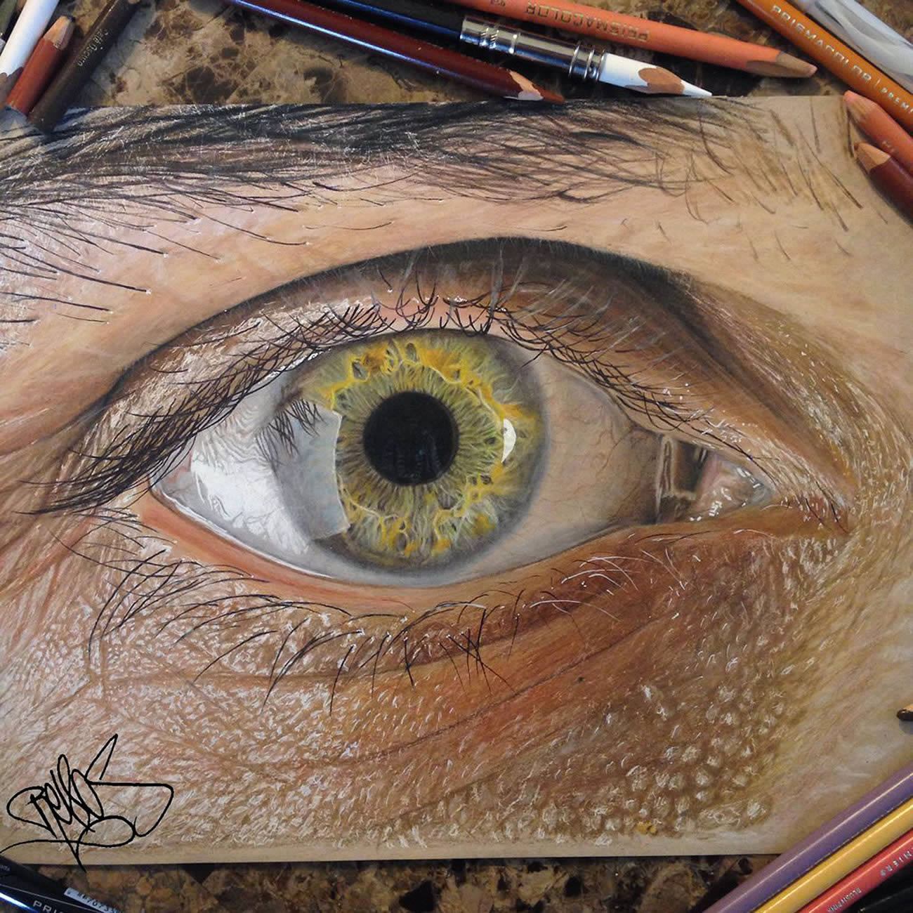 Color Pencil Art Eyes