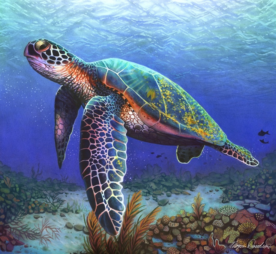 Ilustración de una tortuga con lápices de colores
