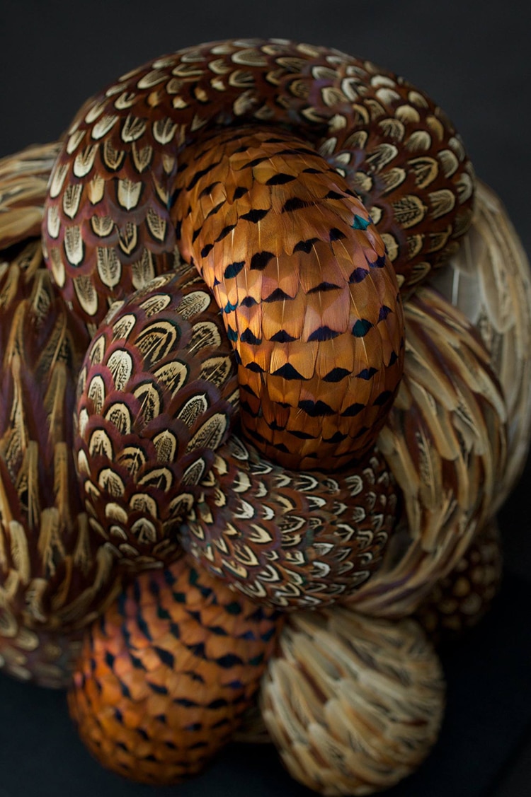 Feather Sculptures by Kate MccGwire