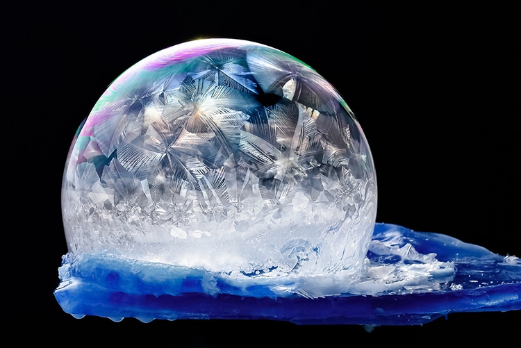 Frozen Bubble Photos by Hope Carter