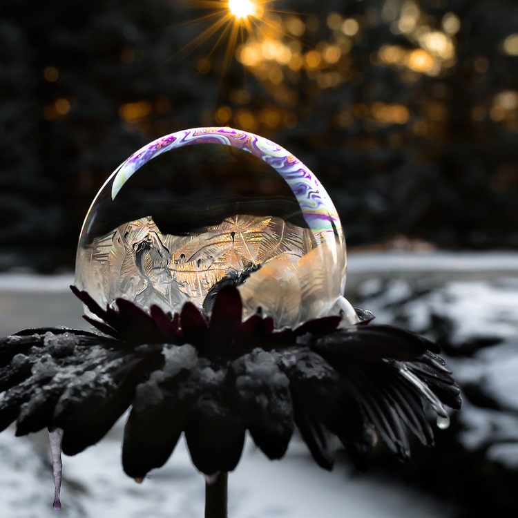 Frozen Bubble Photos by Hope Carter