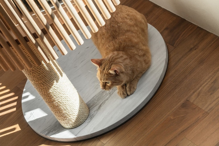 Minimalist Cat Furniture by Rinn