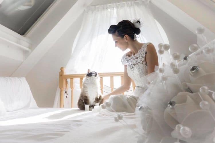 Cats in Wedding Photoshoot Ideas by Marianna Zampieri