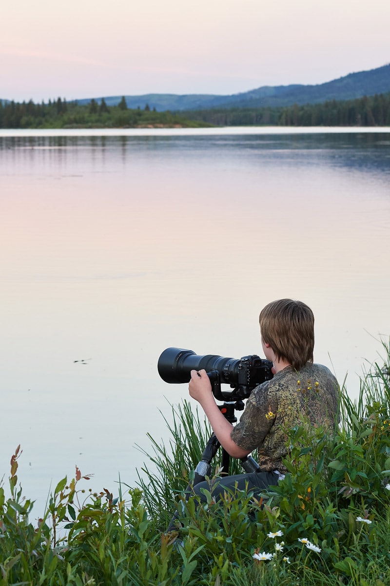 Josiah Launstein - Wildlife Photographer