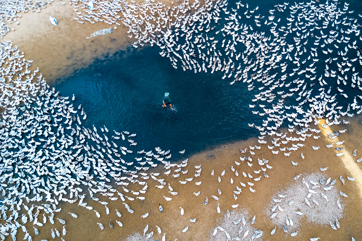 SkyPixel aerial photography contest 2017