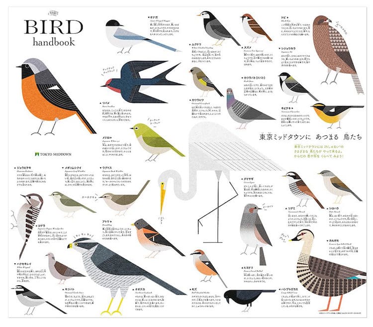 Illustrated Tokyo Bird Book by Ryo Takemasa