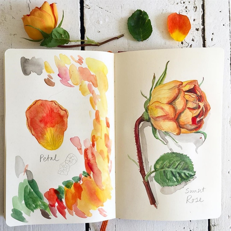 Botanical Illustrations by Somang Lee