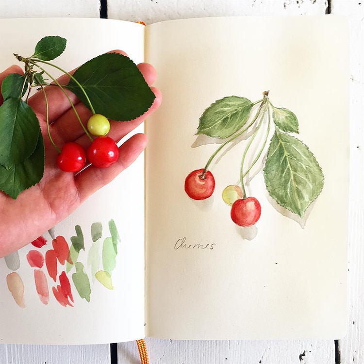 Botanical Illustrations by Somang Lee