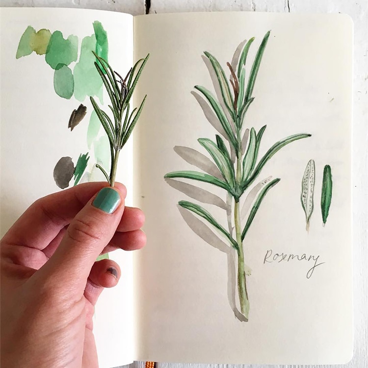 Botanical Illustrations by Somang Lee