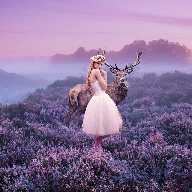 Fairytale Animal Digital Art Robert Jahns Photomanipulation