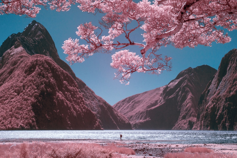 Infrared Photography Infrared Camera Pink Landscape New Zealand Vacation Paul Hoi