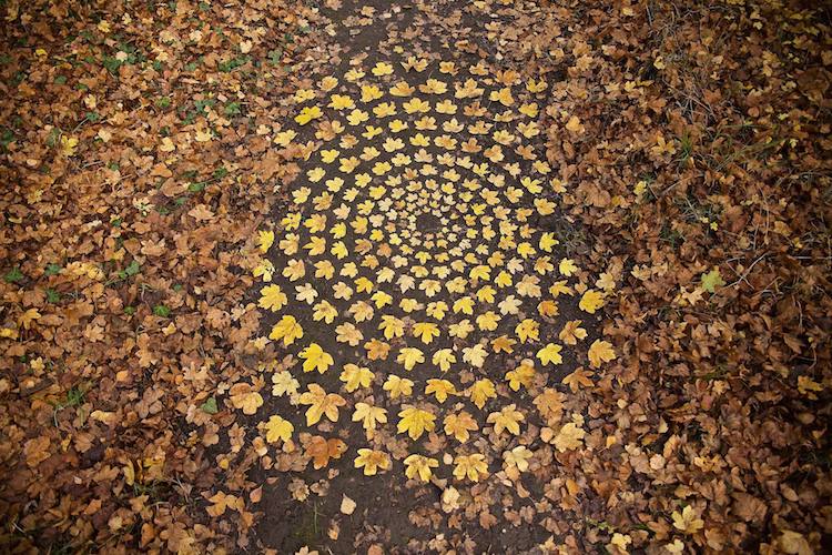 Download Ephemeral Art Series Features Mandalas And Spirals Made Of Nature