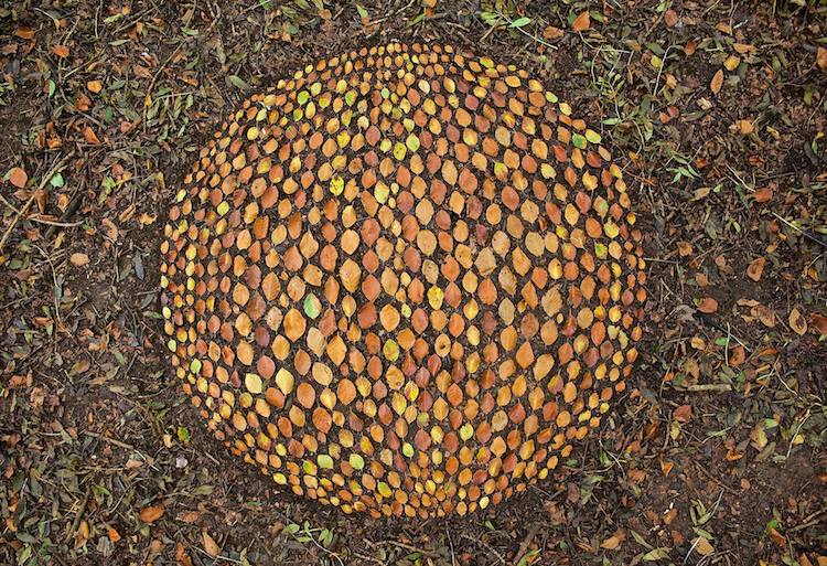 Land Artist Arranges Stones and Leaves Into Mesmerizing Mandalas and ...