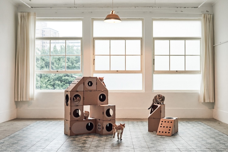 Modular cardboard outlet cat furniture