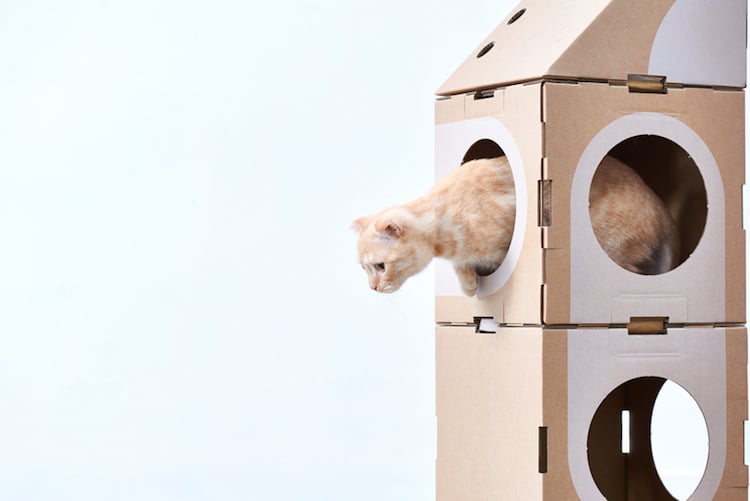 Modern Cat Cardboard Furniture