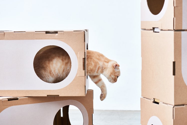 Modern Cat Cardboard Furniture