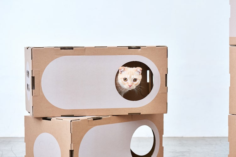 Modular Cardboard Cat Furniture is an Ever-Changing Playground