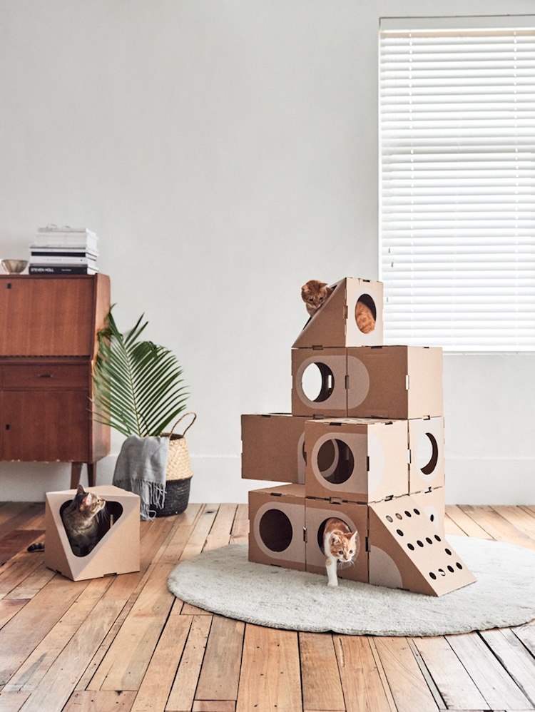 Modern Cat Furniture