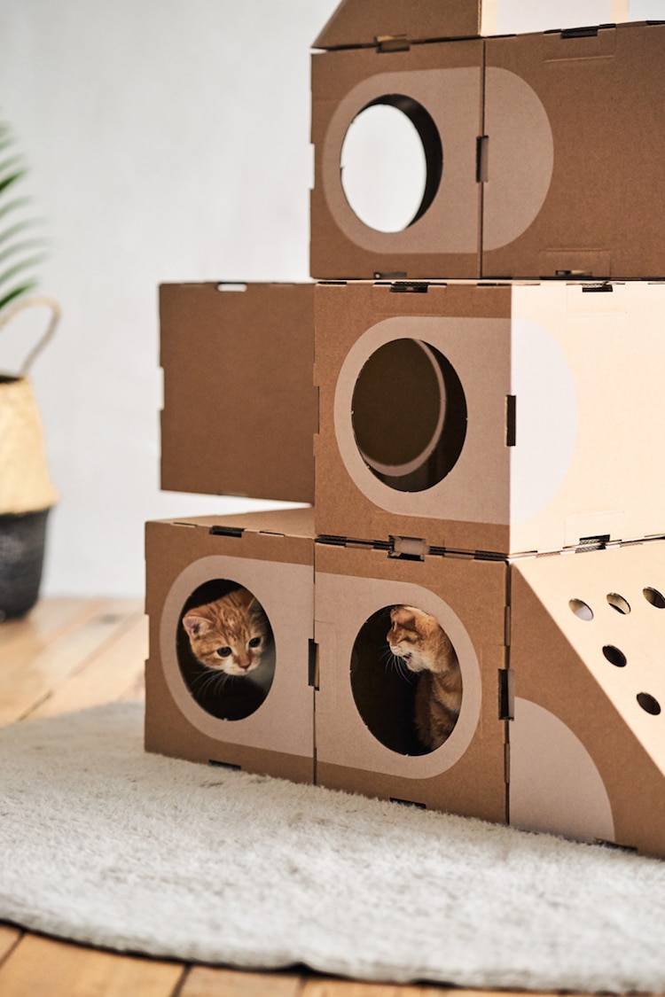 modular cardboard cat house