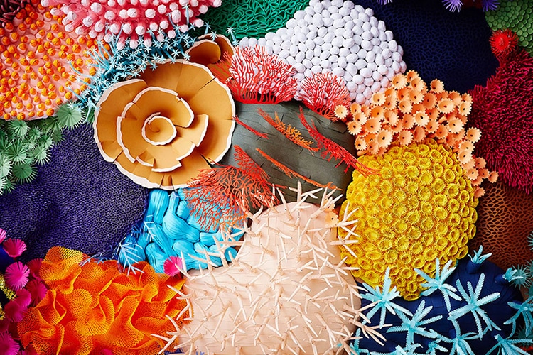 Paper Art Coral Reef by Mlle Hipolyte