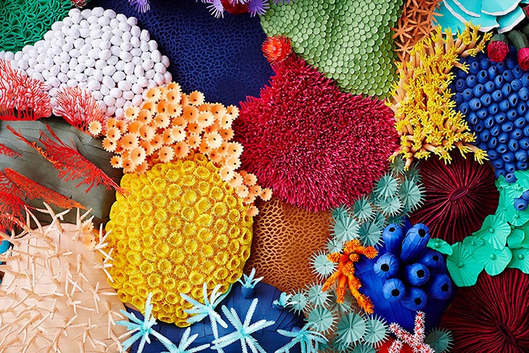 Paper Art Coral Reef by Mlle Hipolyte