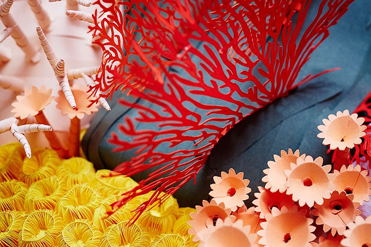 Paper Art Coral Reef by Mlle Hipolyte