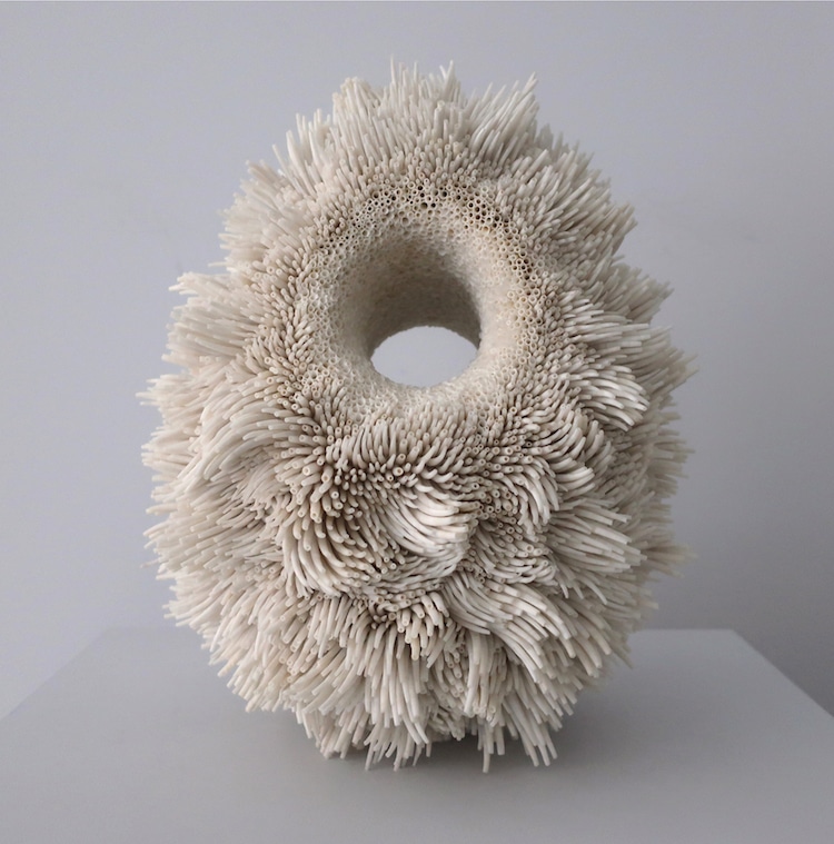 Seashell Sculptures by Rowan Mersh