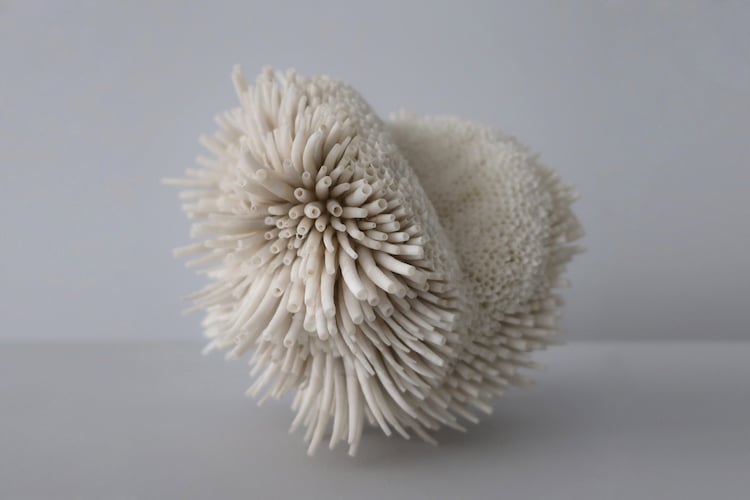 Seashell Sculptures by Rowan Mersh