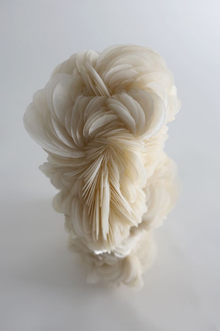 Seashell Sculptures by Rowan Mersh