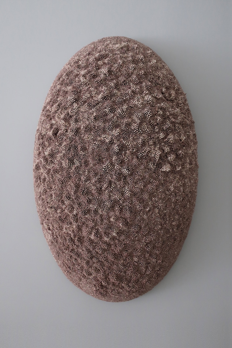  Muschelskulpturen von Rowan Mersh