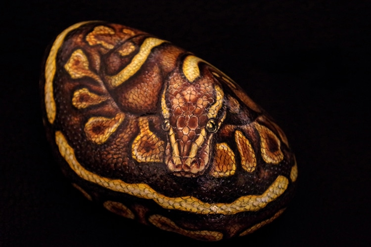 Animal Stone Paintings by Akie Nakata