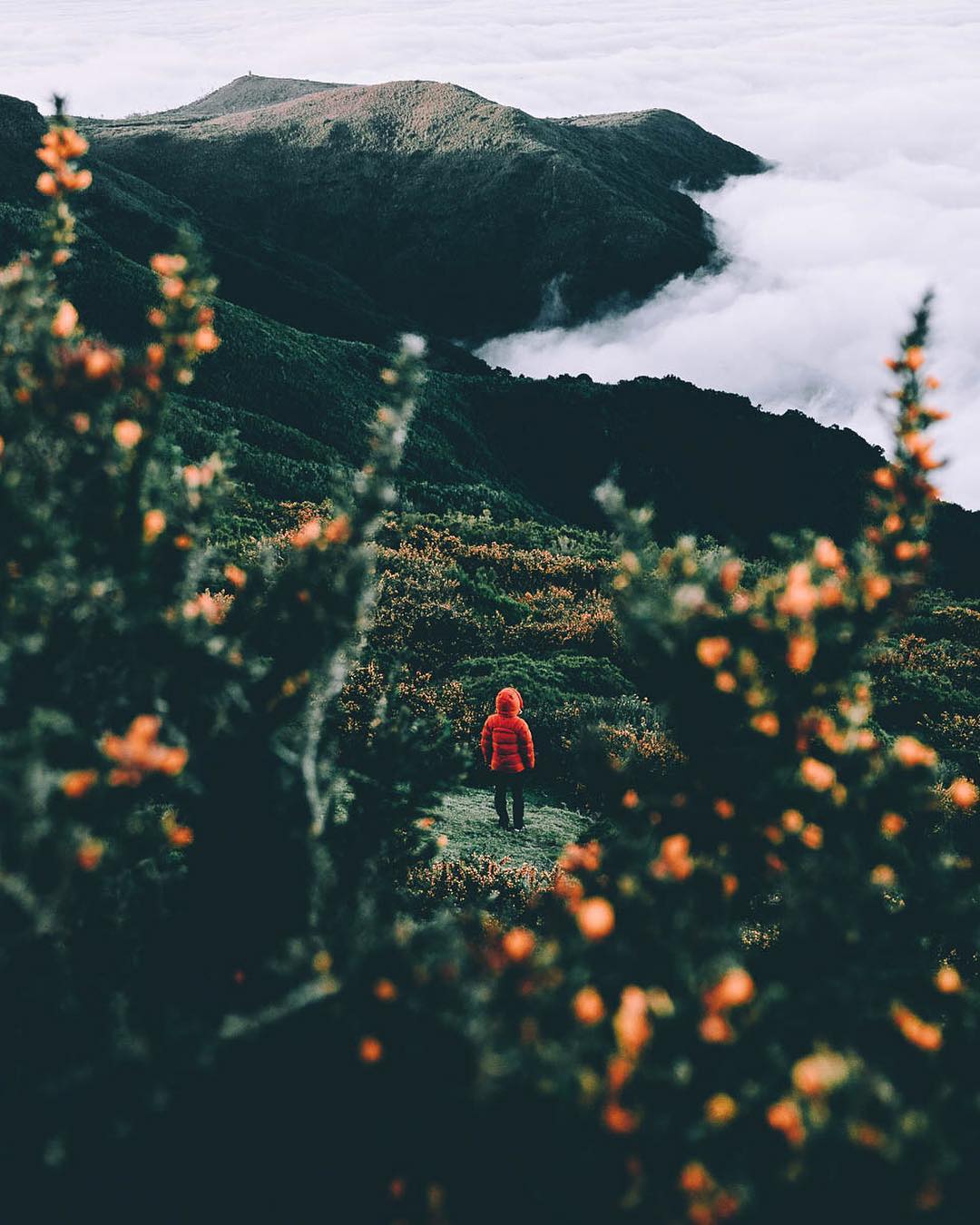 Tobias Hagg - Aerial Landscape Photographer