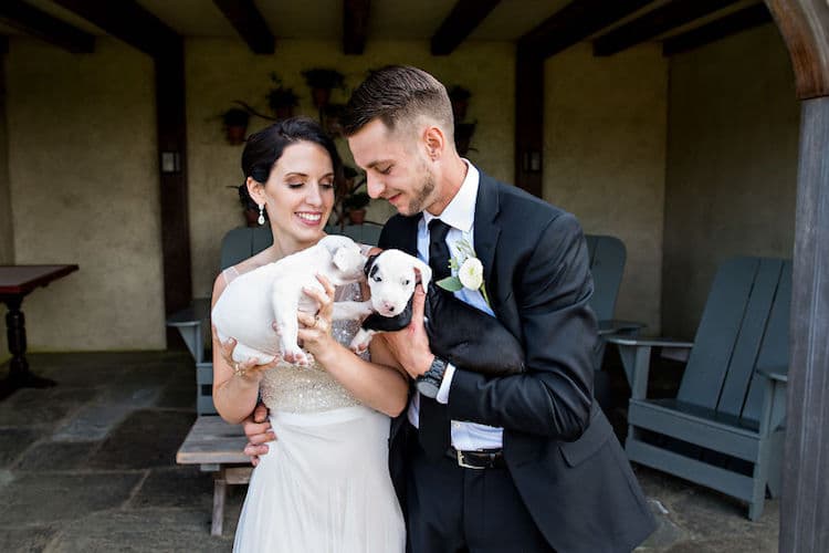 Rescue Animals in Wedding Photographed by Rebecca Lynne Photography