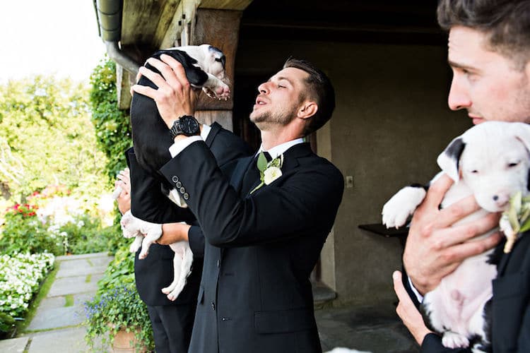 Wedding with Puppies Photographed by Rebecca Lynne Photography