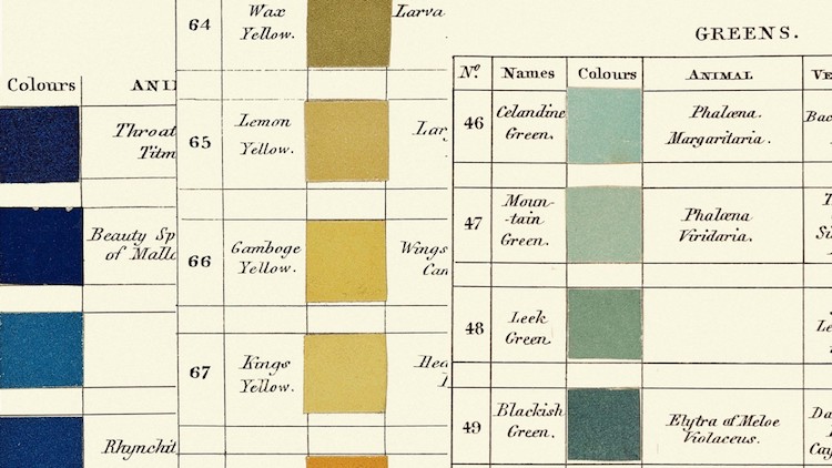 Werner's Nomenclature of Colours Color Guide Color Descriptions Handwritten Book