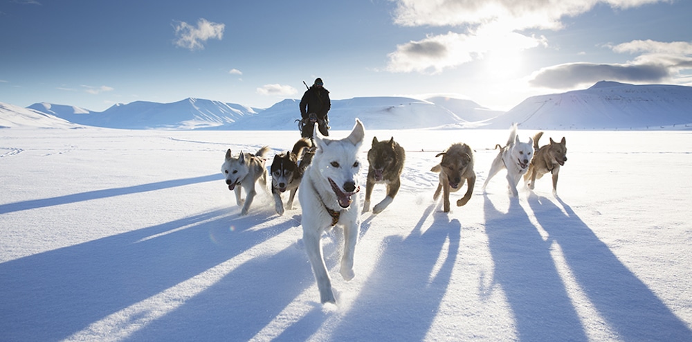 2018 National Geographic Traveler Photography Competition Winners Travel Photography Nat Geo