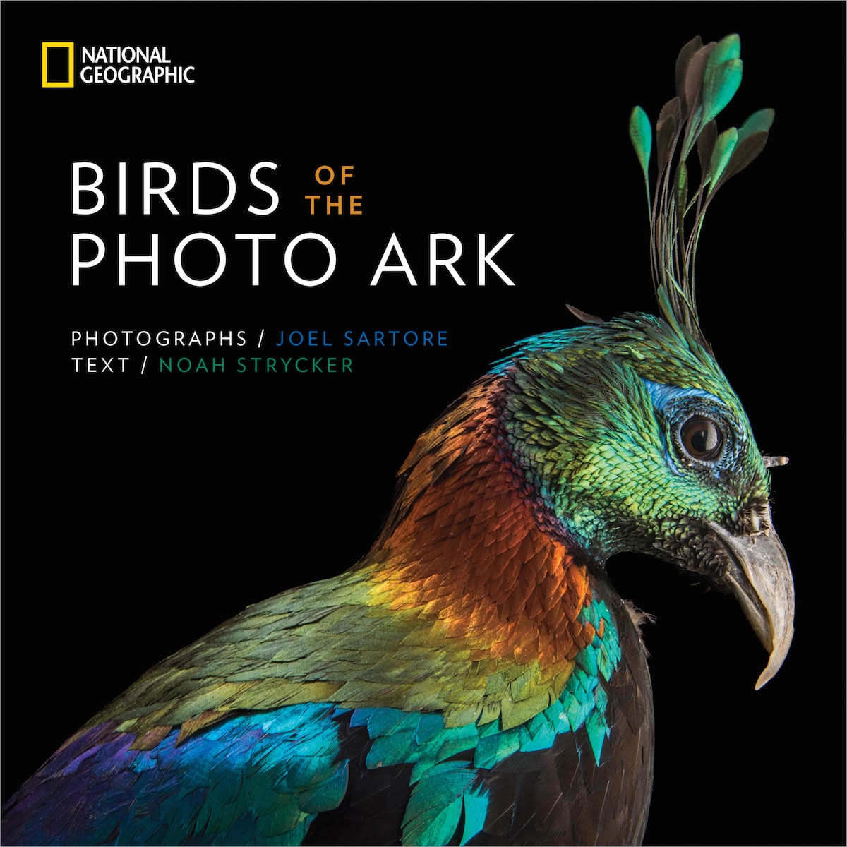 Bird Species Animal Portraits by Joel Sartore