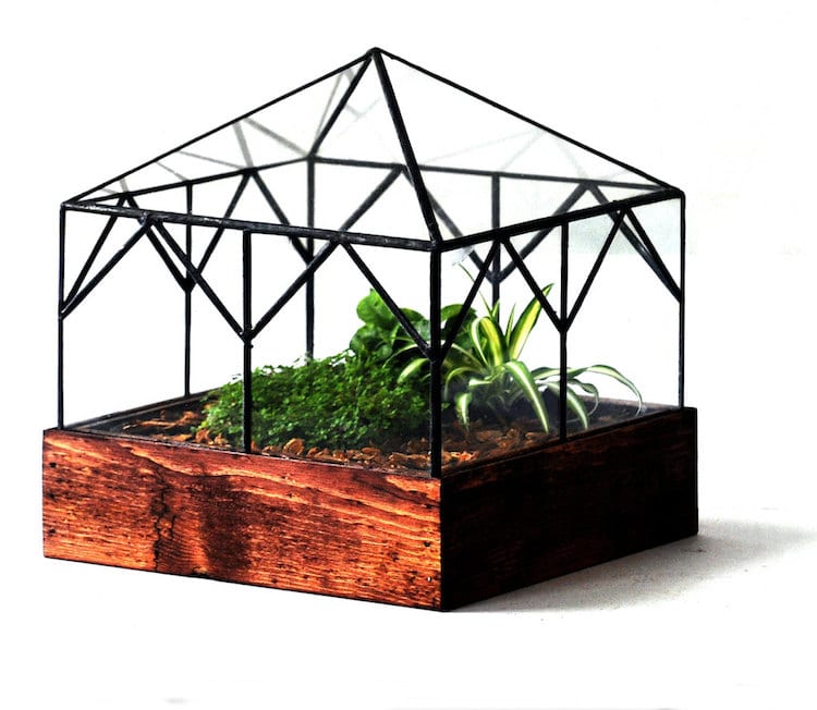 DIY Terrarium