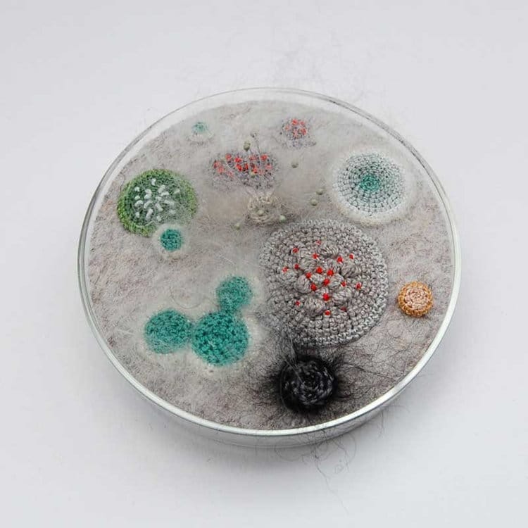 Felt Fiber Art by Elin Thomas