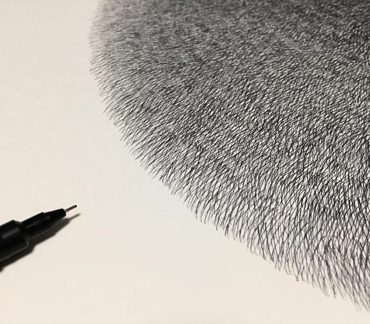 Fluffy Black Cat Ink Drawings by Kamwei Fong