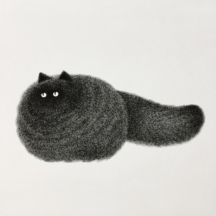 Fluffy Black Cat Ink Drawings by Kamwei Fong