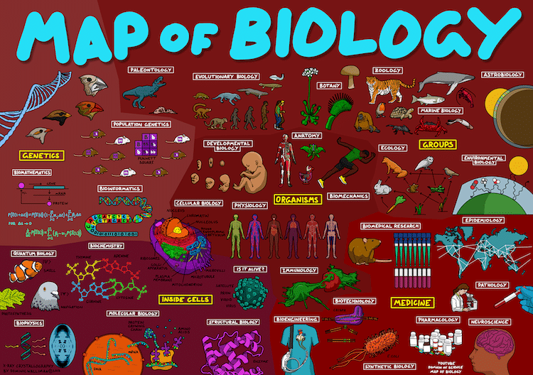 Science Infographic