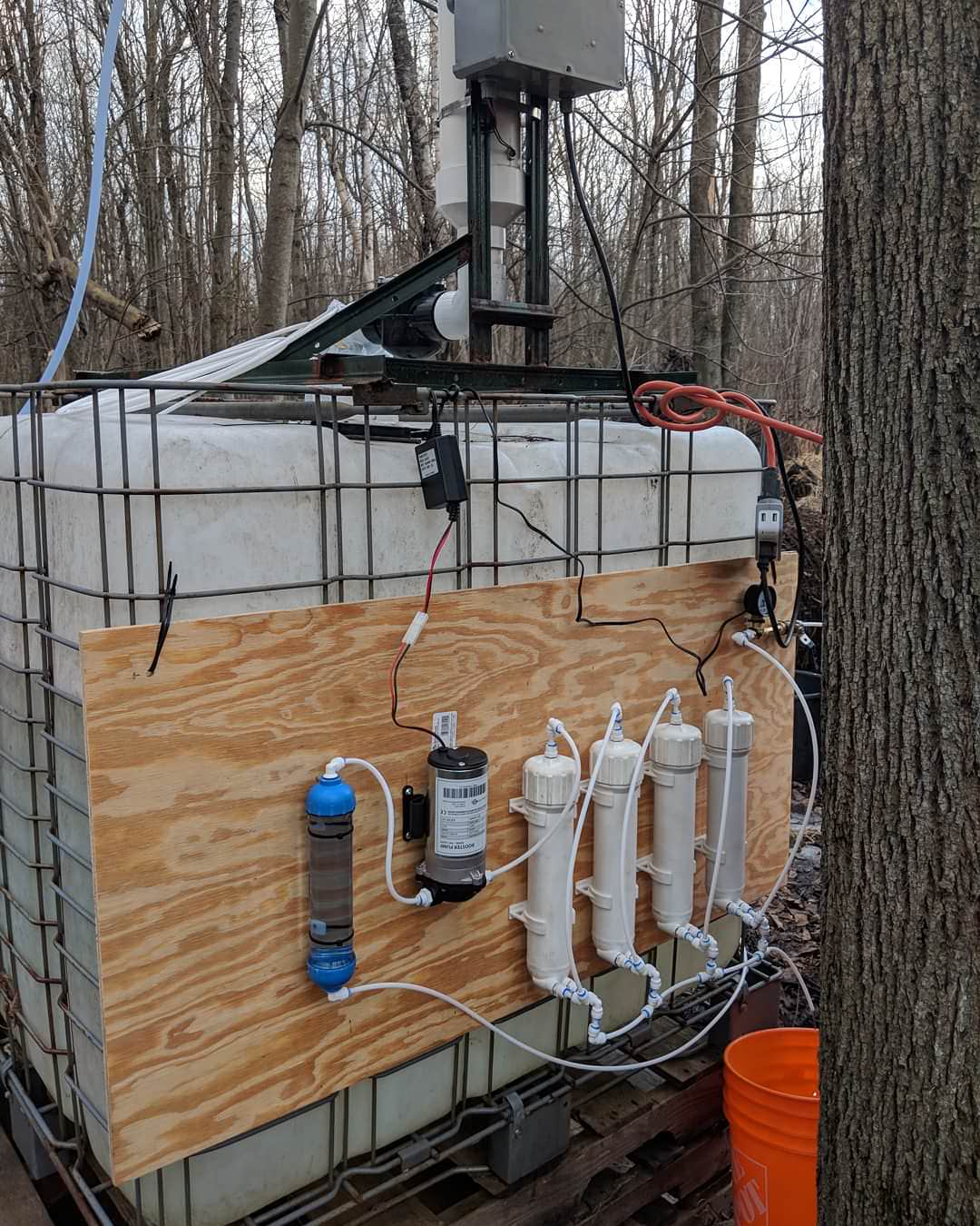 Tradition of Tapping Maple Trees Given an Epic DIY Upgrade