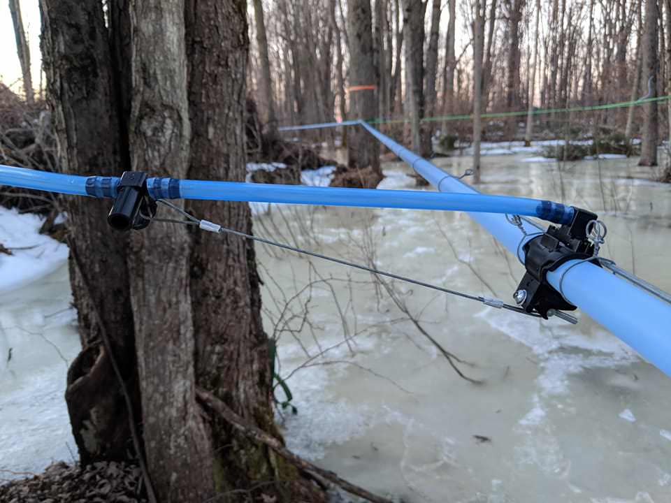 How to Tap a Maple Tree