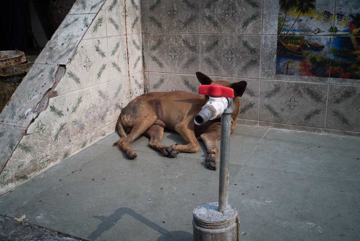 Fotos de casualidades por Pau Buscato