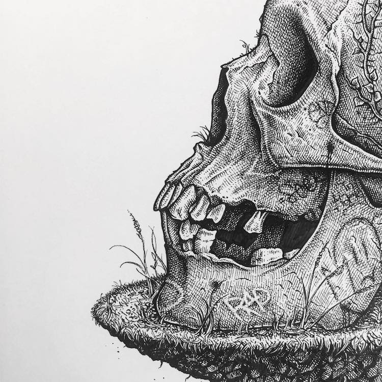 Paul Jackson skull drawing